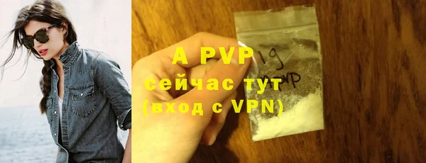 прущие крисы Костерёво