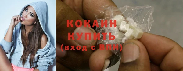 гидра Коряжма