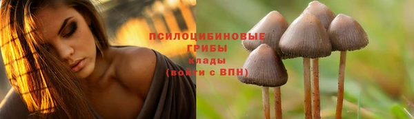 гидра Коряжма