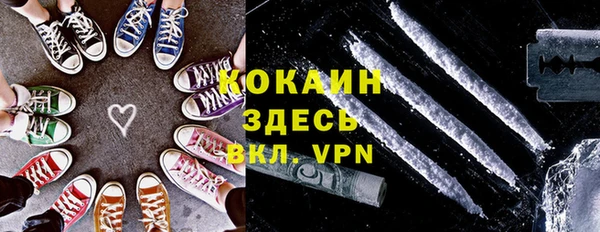 гидра Коряжма