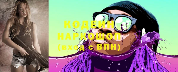 гидра Коряжма