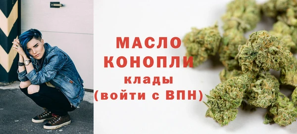 гидра Коряжма