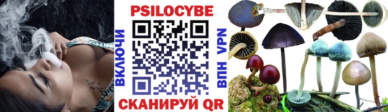 Купить закладки  Сорск  Галлюциногенные грибы MAGIC MUSHROOMS 